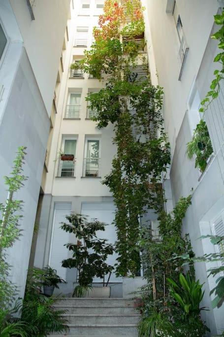 Mezzanine White Appartement *